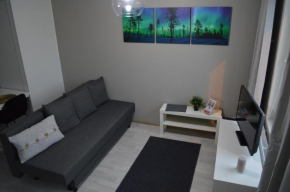 Aurora Haven Rovaniemi Modern DT Apartment -Self Check-In & Free Wifi- in Rovaniemi